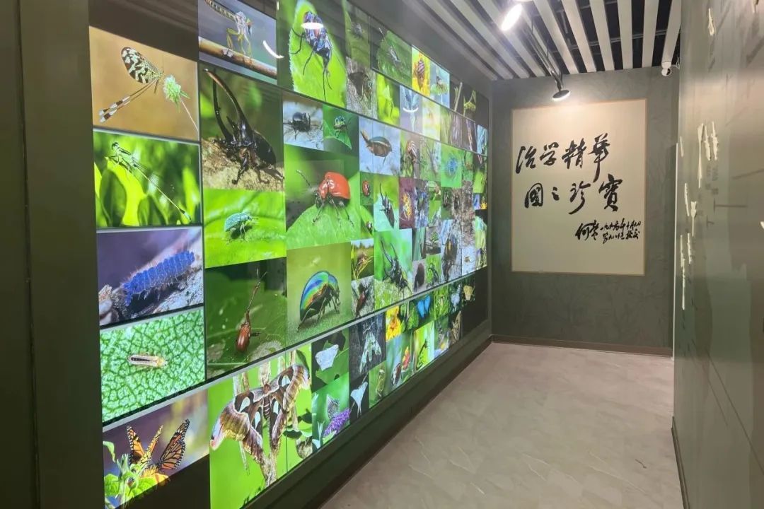 北京博物馆 1,免费参观_新浪财经_新浪网