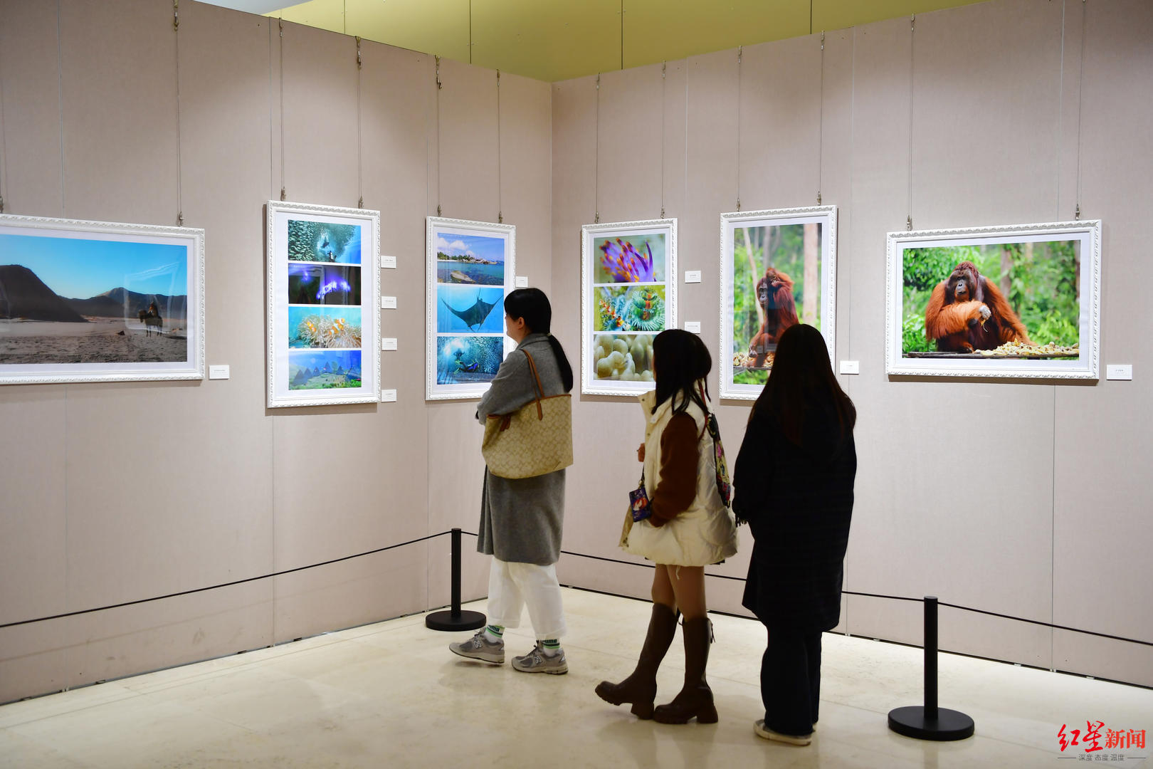 摄影展现场