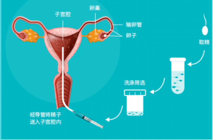 北京开展严打非法应用人类辅助生殖技术专项监督检查工作|医疗机构