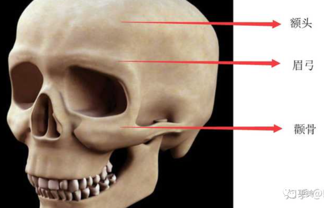 迅猛龙却垫了眉弓做ab2.0…__财经头条