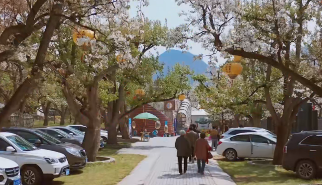 【甘快看】皋兰什川镇:"数字梨园"描绘智慧文旅图景|皋兰_新浪财经