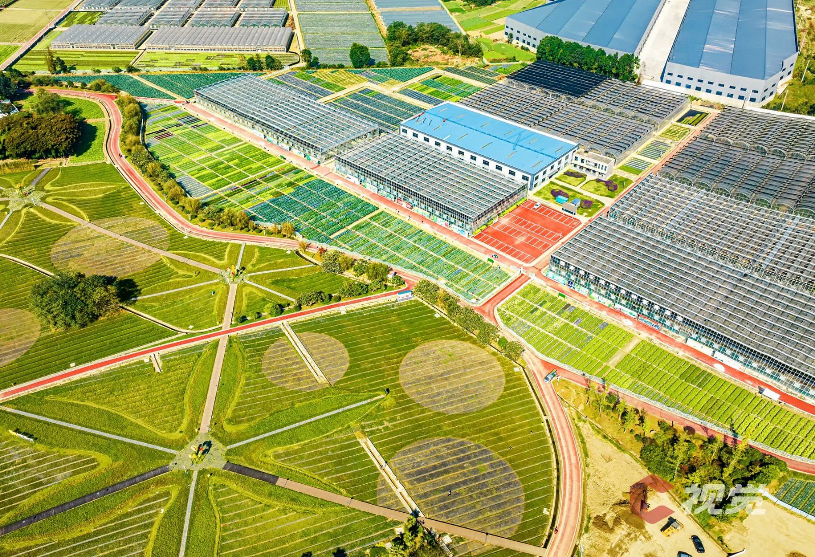 中国·四川(彭州)蔬菜博览会在成都彭州市天府蔬香现代农业产业园开幕