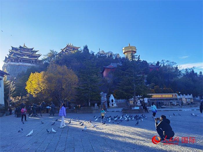 游客们在独克宗古城月光广场上喂鸽子拍照.人民网记者杜明明摄