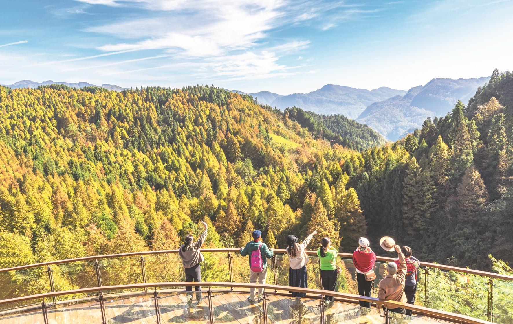 11月17日,游客在重庆市南川区山王坪喀斯特生态公园欣赏美景.