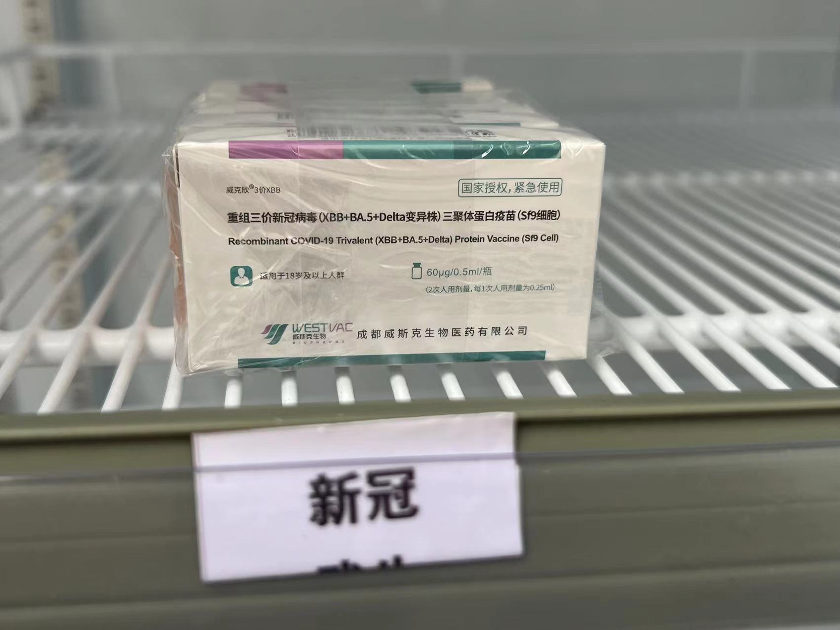 新到货的xbb新冠疫苗. 本文图片均为 澎湃新闻记者 陈斯斯 摄