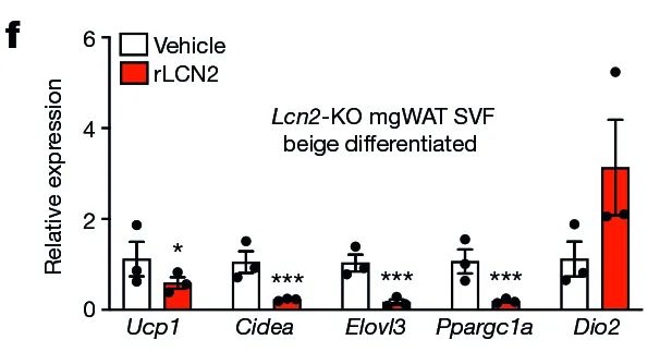 图源参考文献:https://doi.org/10.1038/s41586-023-06361-5