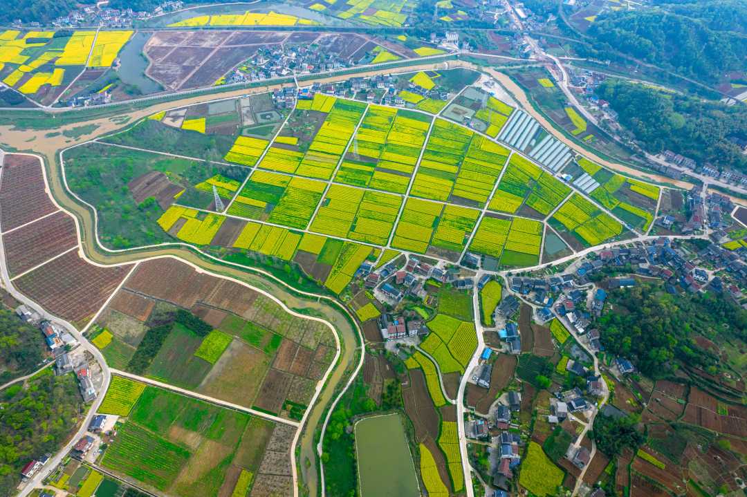 化零为整育良田湖北宜昌市高标准农田建设调查