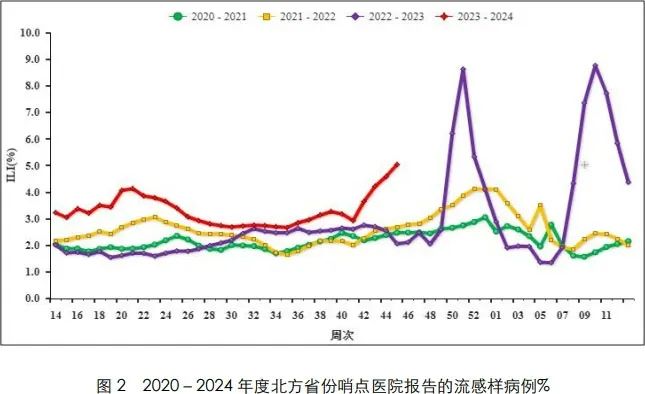 2020—2024年度北方省份哨点医院报告的流感样病例（图片来源：中国国家流感中心）