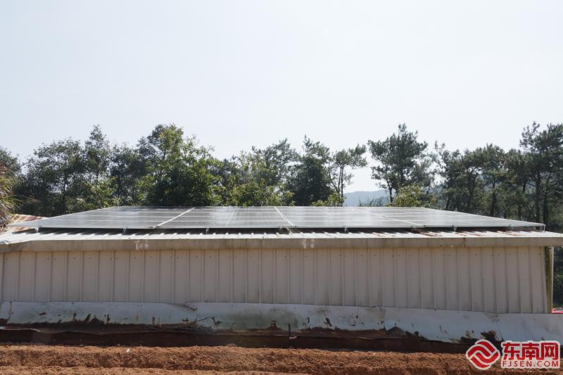 仓库顶上新安装的光伏面板 东南网记者 洪振威 摄
