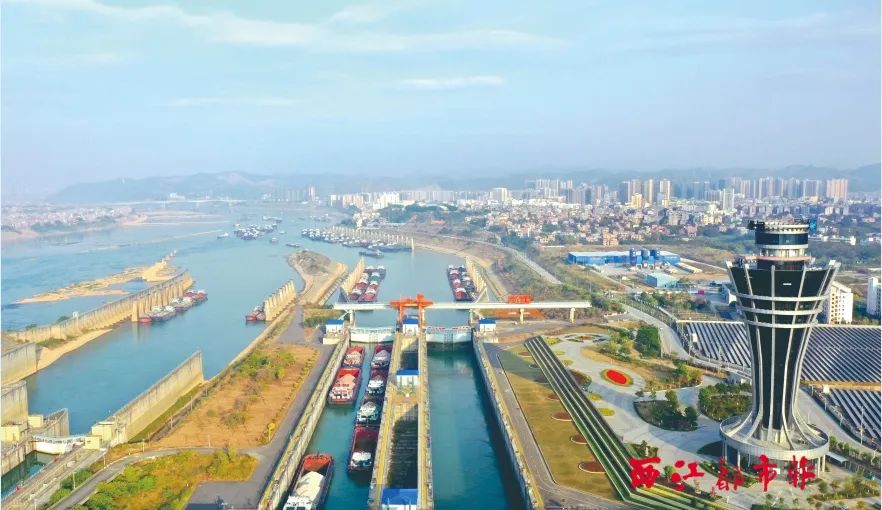 保障西江航运干线安全畅通丨梧州市多部门联动多措并举全力应对枯水期