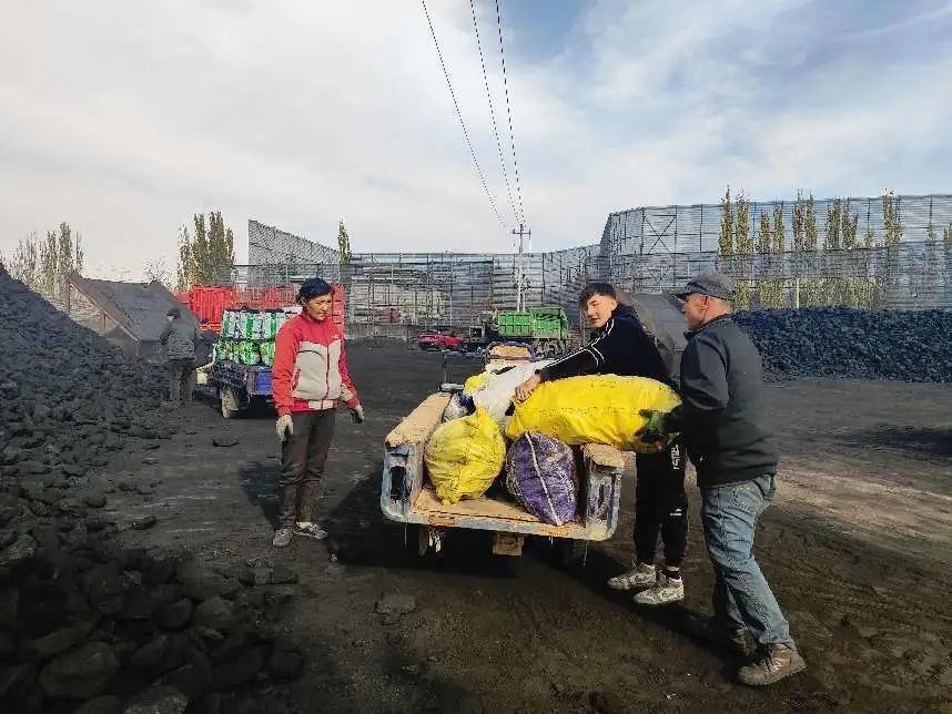 图为新疆喀什市农户正在从煤炭购销点拉运过冬煤炭。艾山江·土尔孙摄