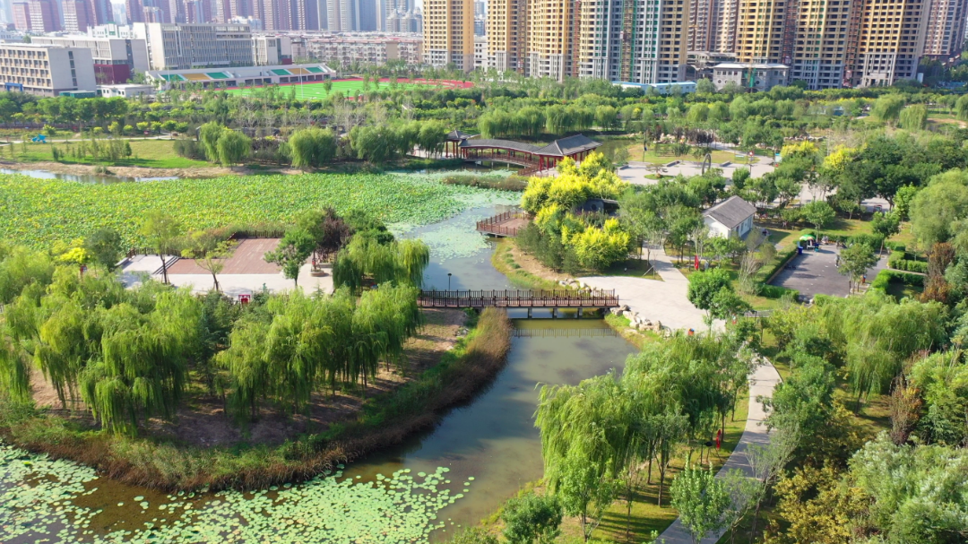 襄都湖公园.(刘丽摄)