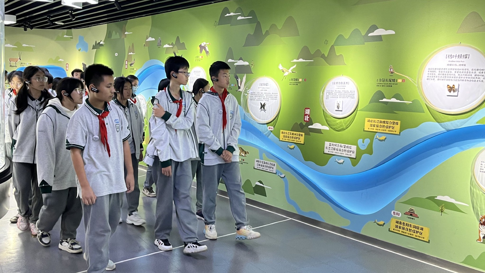 青少年来到长江江豚科教中心研学.长江江豚科教中心供图