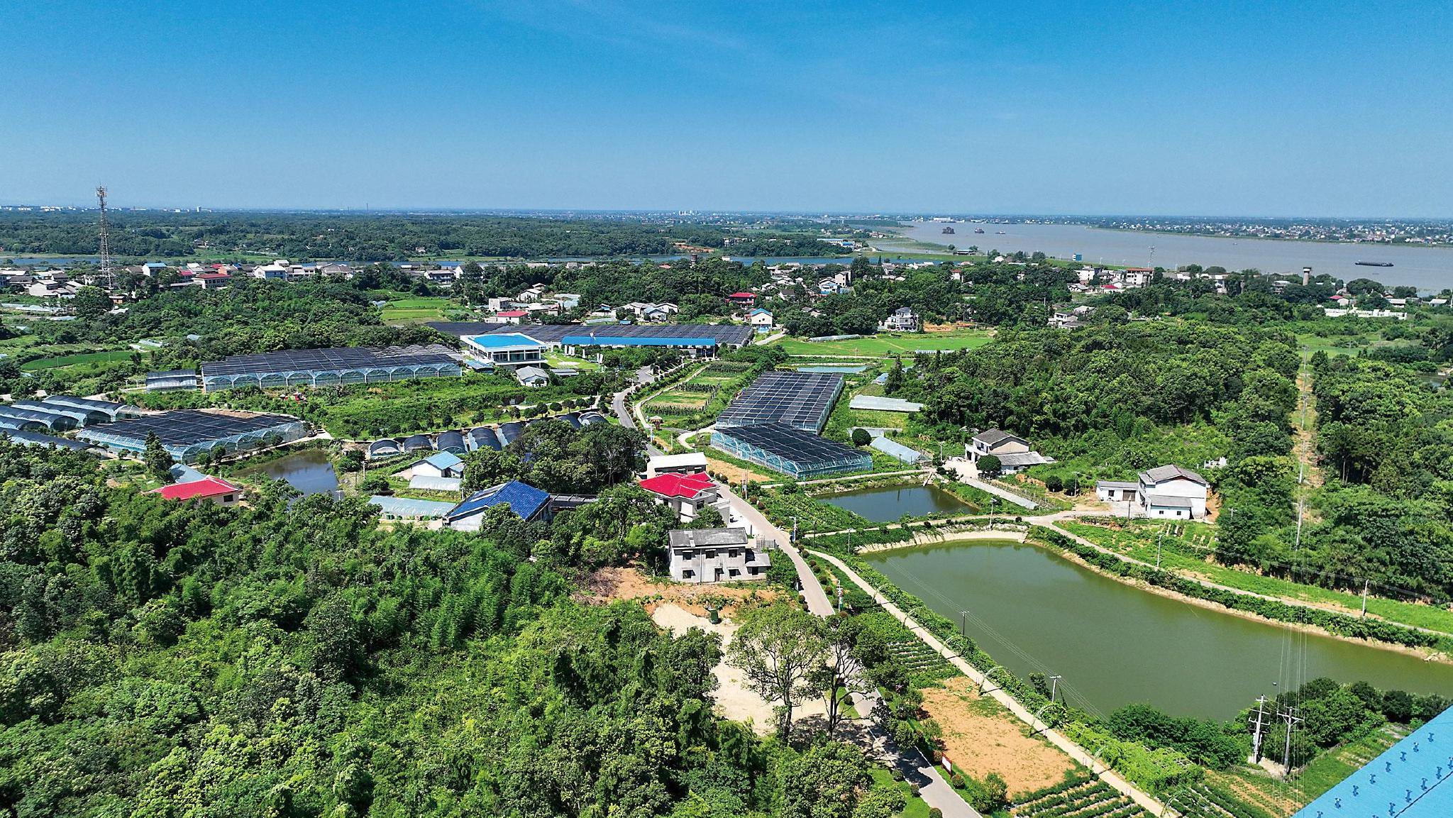 2023年5月17日,全国人大教科文卫委副主任委员许达哲(中)调研樟树镇