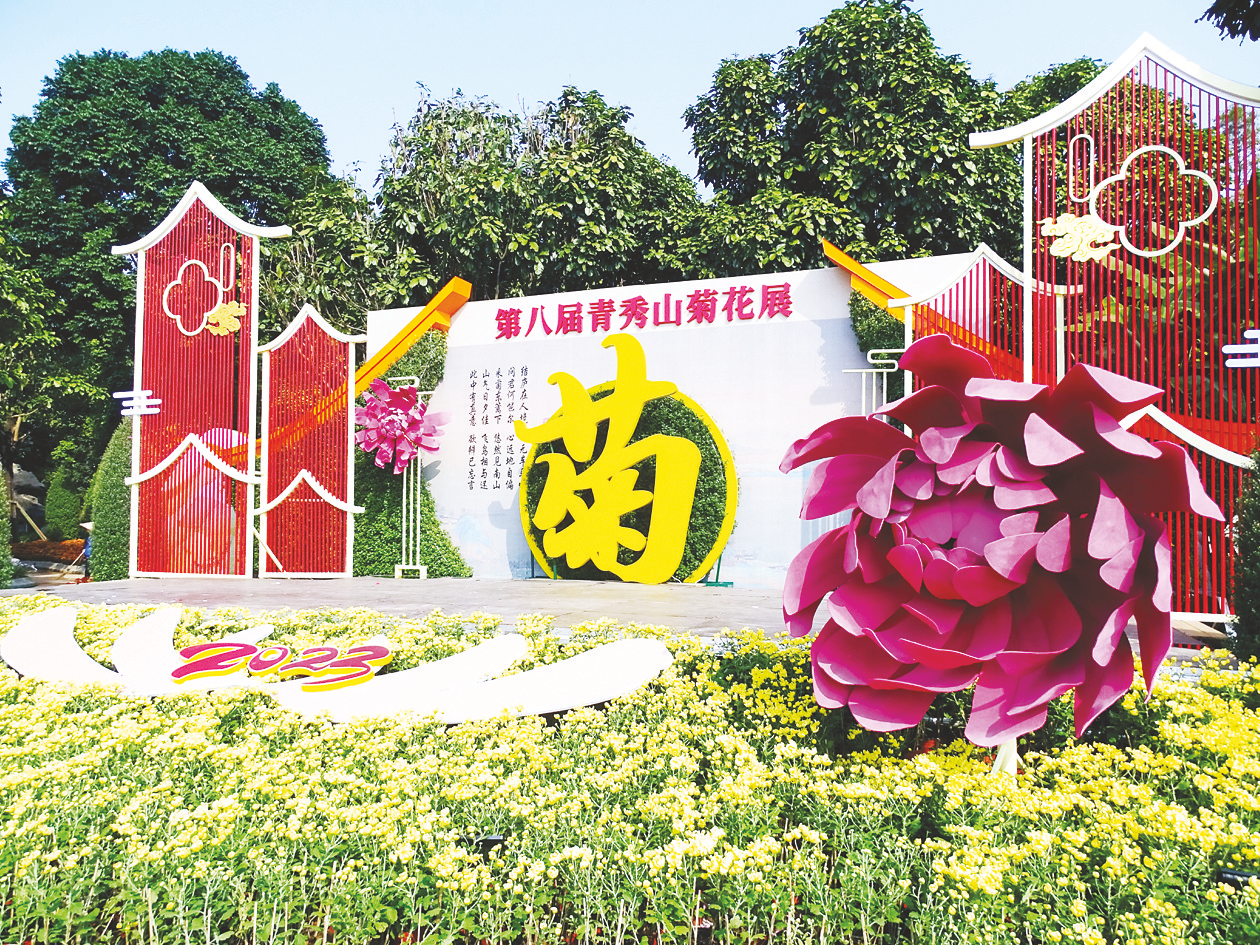 10万余盆花绽放 青秀山芳菊飘香|青秀山_新浪财经_新浪网