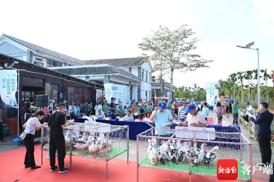 琼海这个竞种比赛落幕 他们养出"最靓"的嘉积鸭