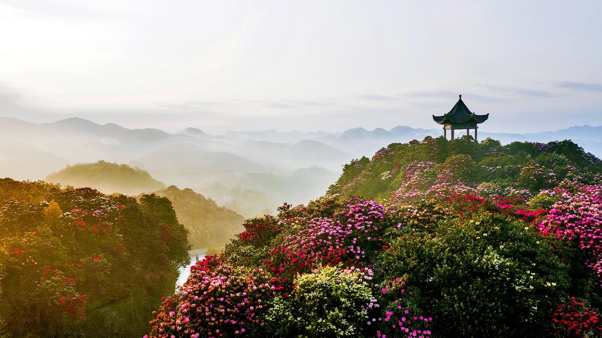 毕节市首家 ! 百里杜鹃旅投获双重数据凭证