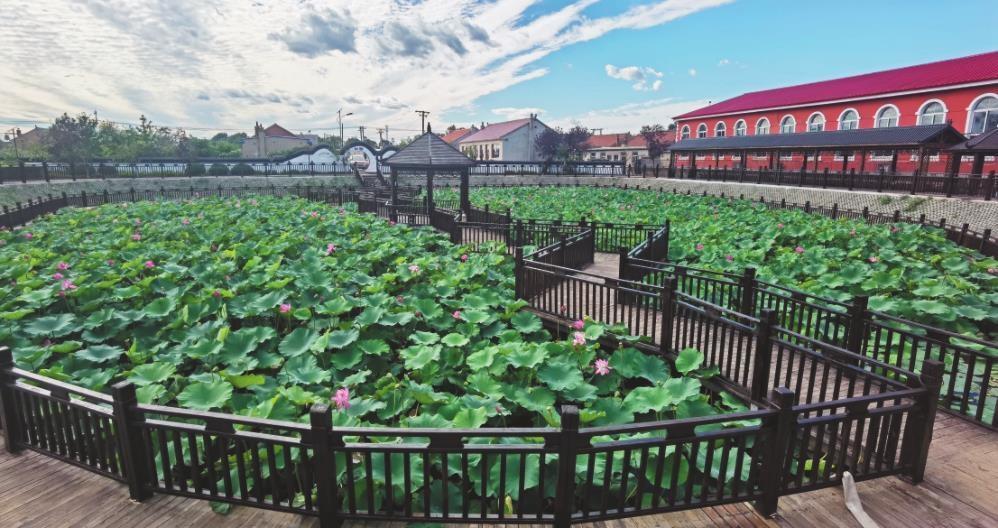 一份温暖厚重的民生答卷|辽阳县_新浪财经_新浪网