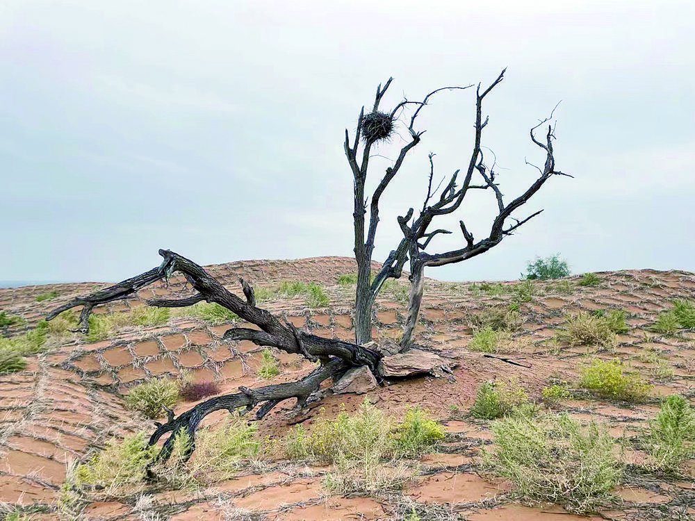 从沙坡头暮色里路过的男人们