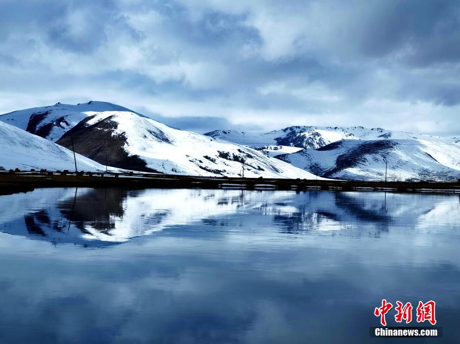 青海可可西里:野生动物的家园