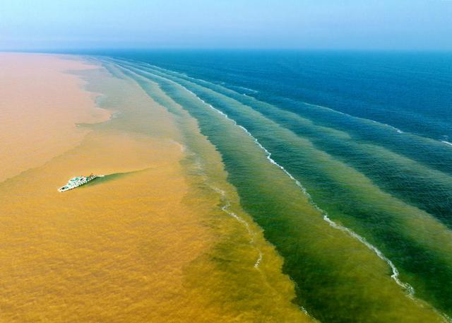 城市的印记|来东营 看黄河入海 万鸟归家