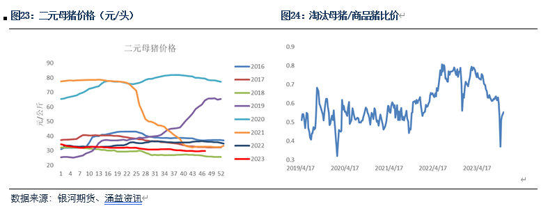 【生猪月报】供应压力较大 价格反弹不及预期
