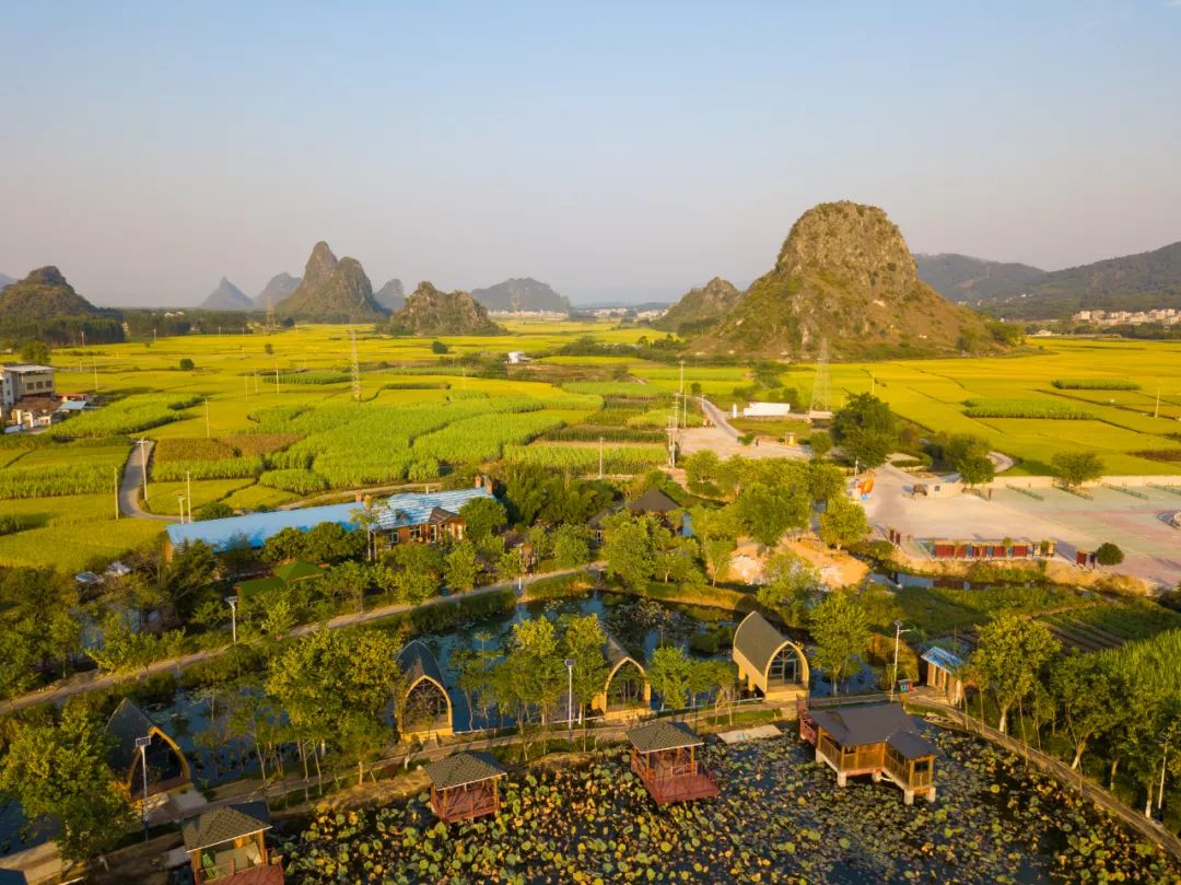 【文明村镇巡礼】武宣县桐岭镇桐岭村:整合"文明"阵地 促进乡风文明