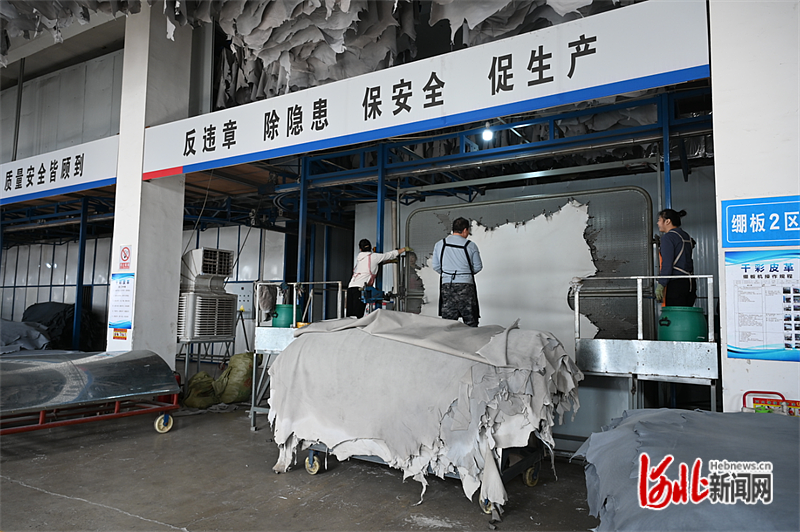 11月10日,在石家庄市千彩皮革制品有限公司生产车间里,工人正在进行牛