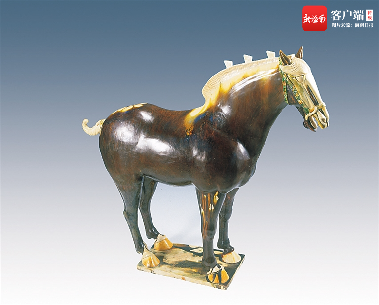 图片由海南省博物馆提供