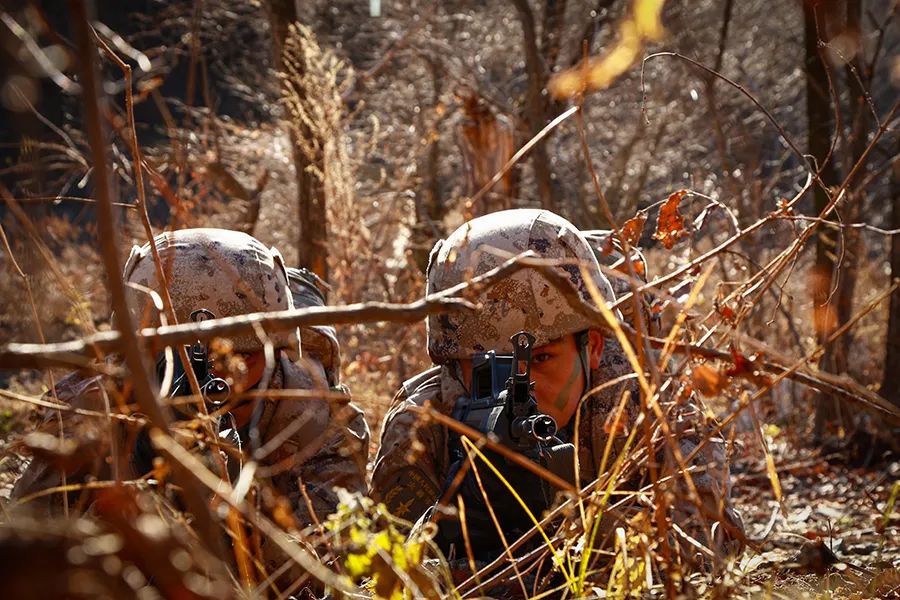 仔细看荒漠迷彩和野外丛林的组合_新浪财经_新浪网
