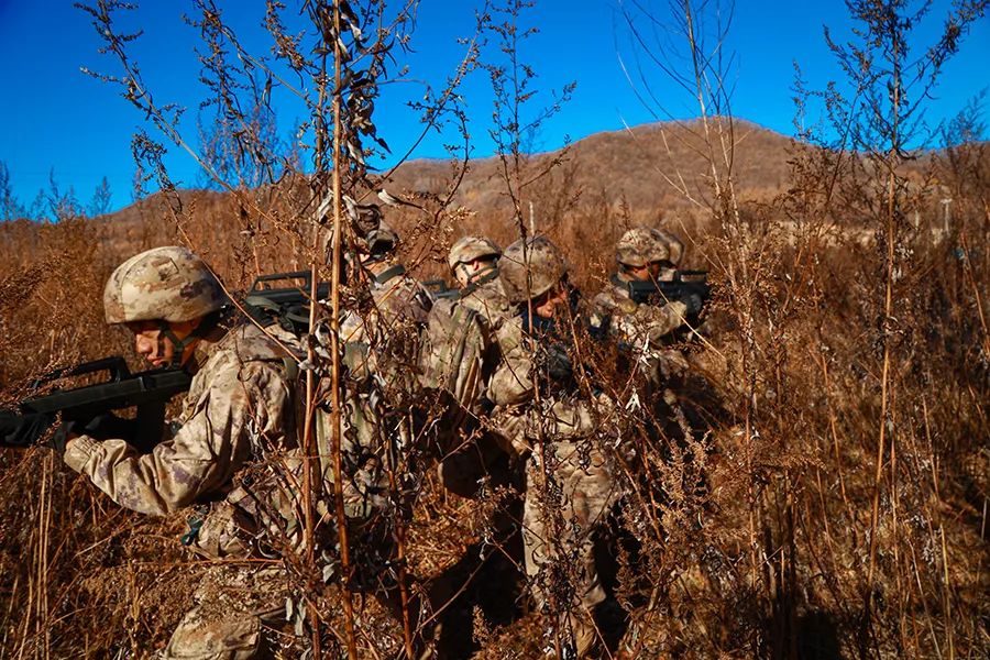 仔细看荒漠迷彩和野外丛林的组合_新浪财经_新浪网
