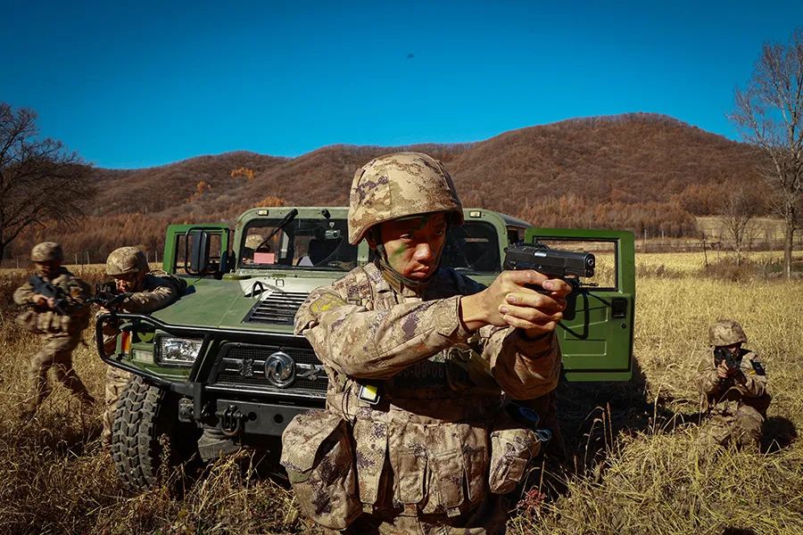 仔细看荒漠迷彩和野外丛林的组合_新浪财经_新浪网