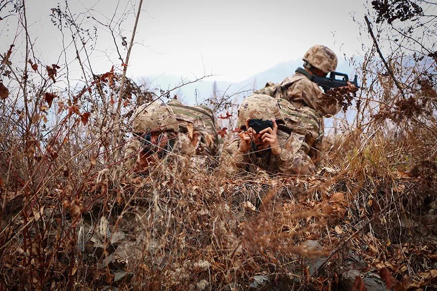 仔细看荒漠迷彩和野外丛林的组合_新浪财经_新浪网