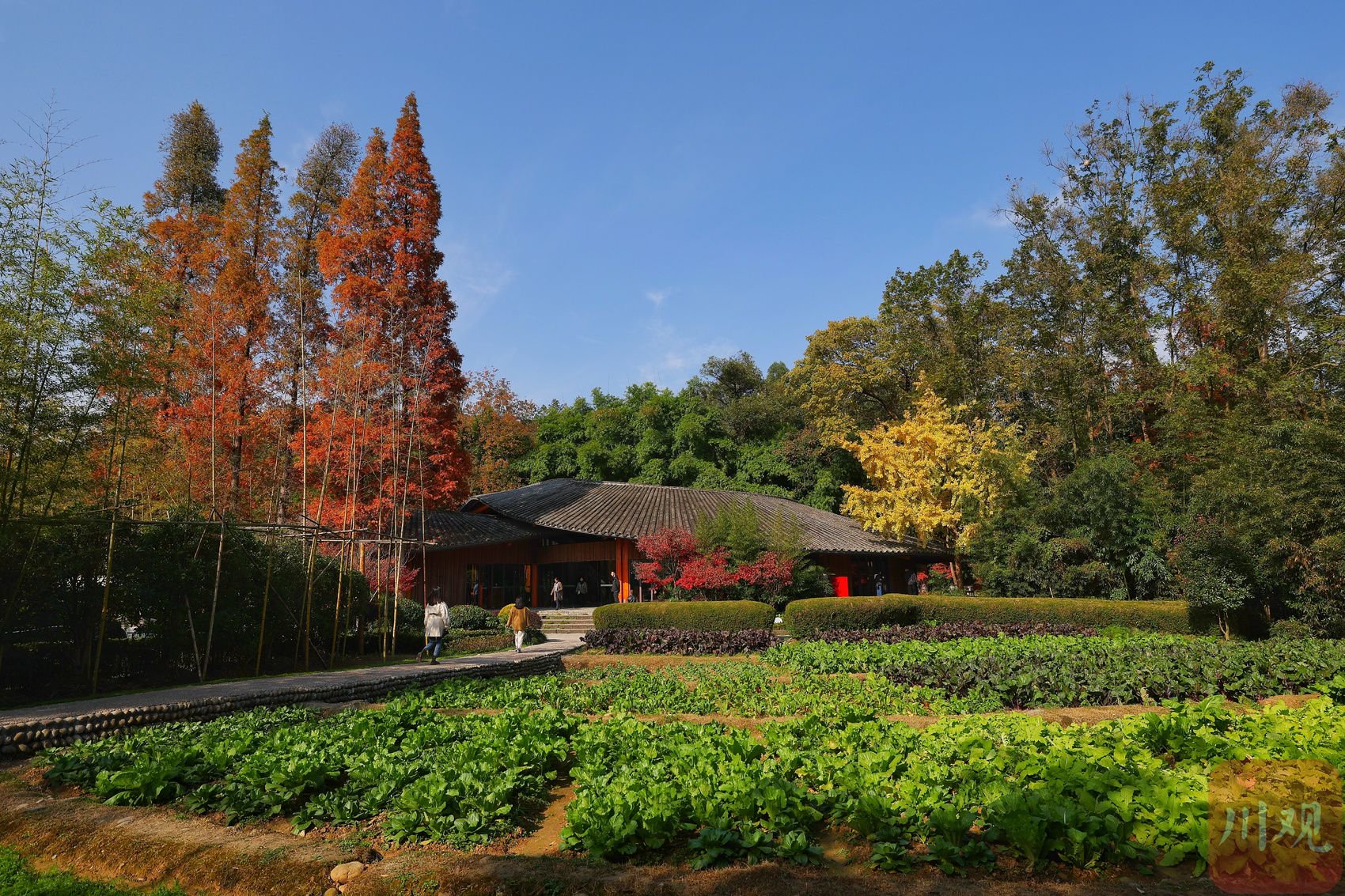 建设宜居宜业和美乡村丨道明竹艺村:不只是"竹艺",更是农旅融合中"
