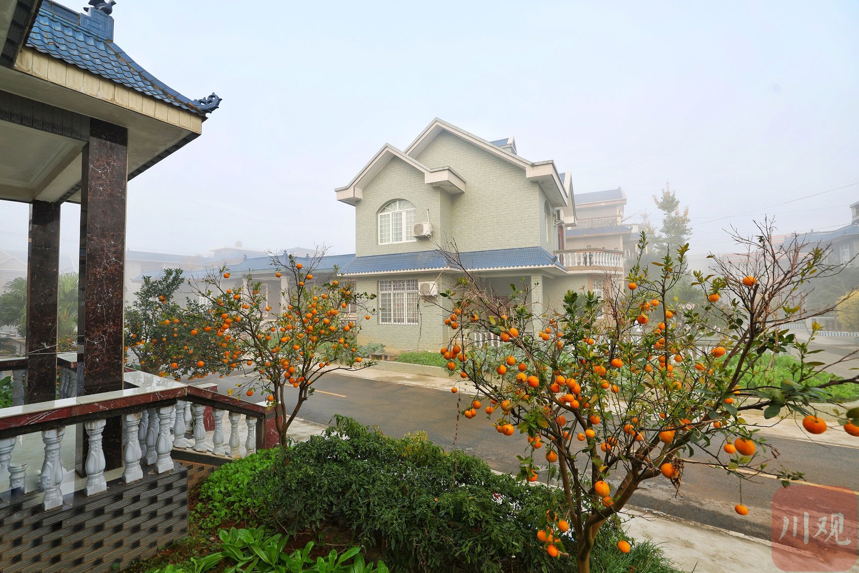 走进乐山市夹江县新场镇东风村,探寻乡村振兴故事