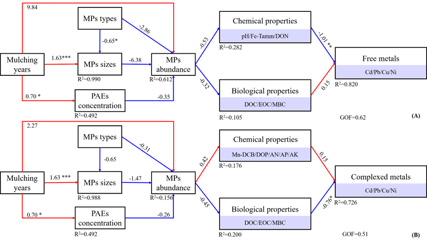 地膜覆盖年限和土壤环境因素对自由态和络合态重金属离子影响的偏最小二乘路径模型(PLS-PM)图