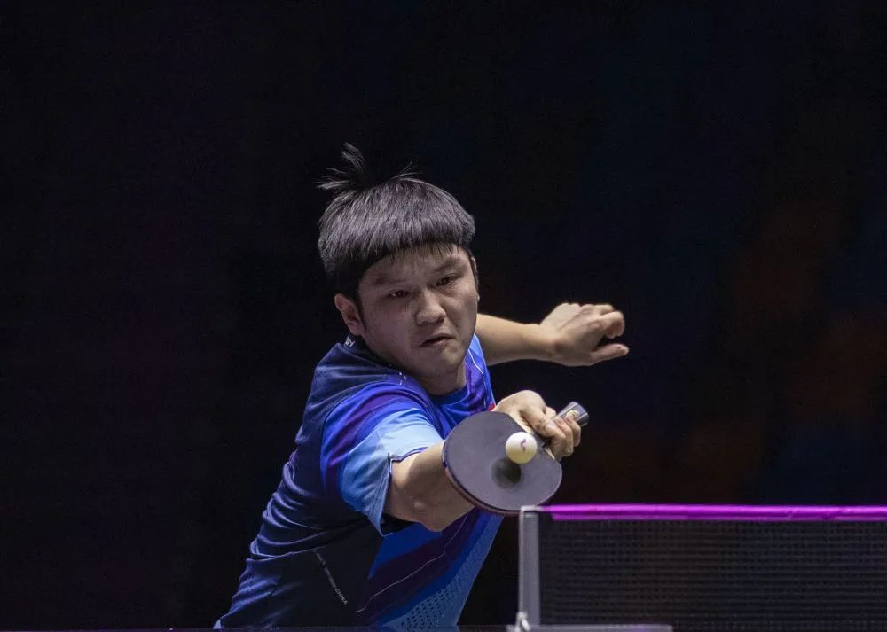 10月29日，樊振东在2023世界乒乓球职业大联盟（WTT）法兰克福冠军赛中。新华社记者 张帆 摄