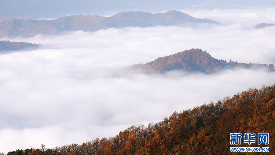 秦岭山城石泉冬日云海现奇观 邀您赴人间惊鸿宴|云海_新浪财经_新浪网