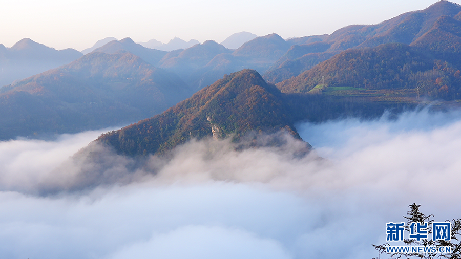 11月23日上午9时许,在陕西石泉城关镇枫树村,云海绕山峦,宛如一幅唯美