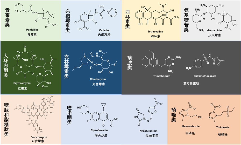 大环内酯(macrolides)类抗生素药物综述