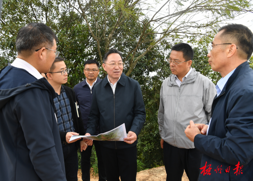 李振品率队到我市部分重点文旅项目调研.李鸿荣 摄