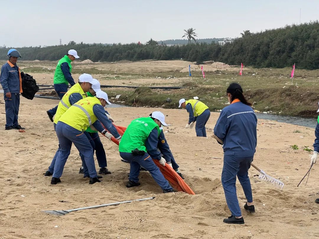 宝钢“净滩”行动志愿者从沙滩中拔出垃圾