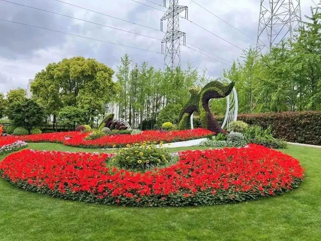 静安这些公园园艺展示作品获奖啦_新浪财经_新浪网