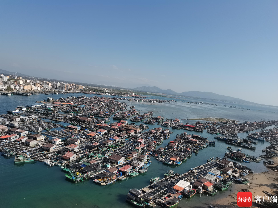 陵水新村港.记者 利声富 摄