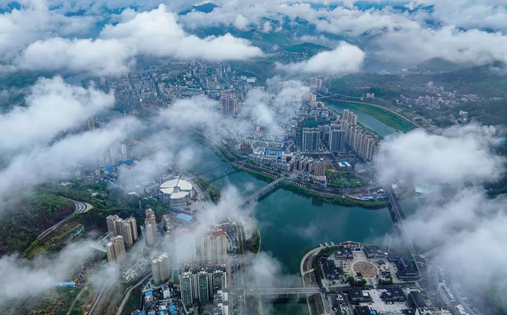 竹山县委书记汪正义说,目前全县已培育"十星级"农民合作社示范社72家