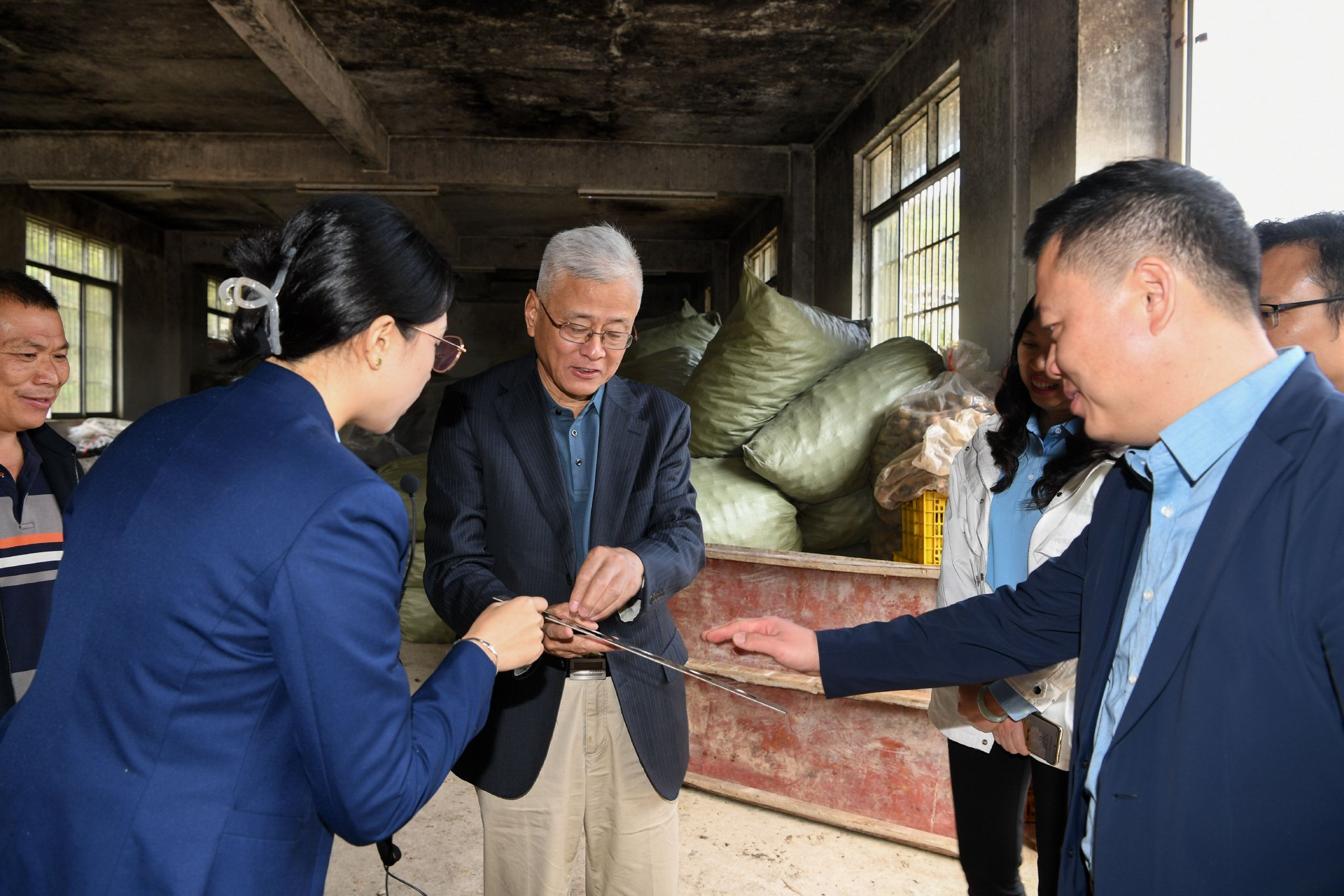 调研桂林银行支持茶洞镇和罗汉果产业的情况