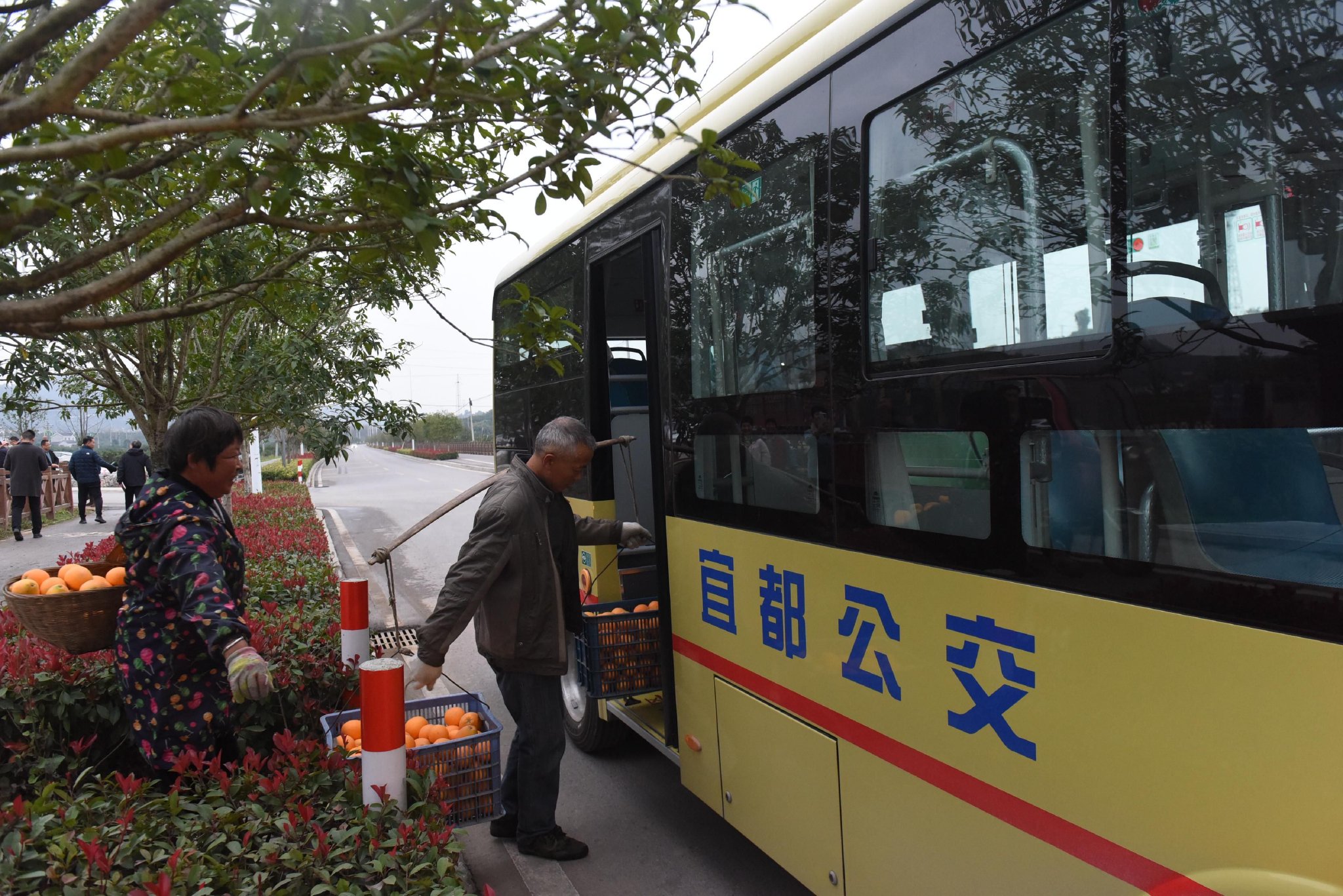 65岁以上城乡居民乐享交通发展成果 湖北宜都首创刷身份证免费乘坐