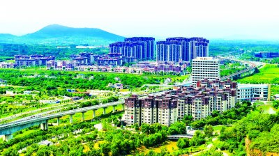 石湫街道:"网格 "融合发展,推进基层治理现代化|碧桂园_新浪财经_新浪