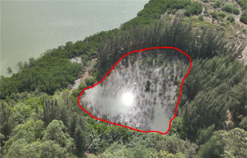 典型案例丨海南省一些地方红树林保护不力 侵占破坏问题仍然多发|海南
