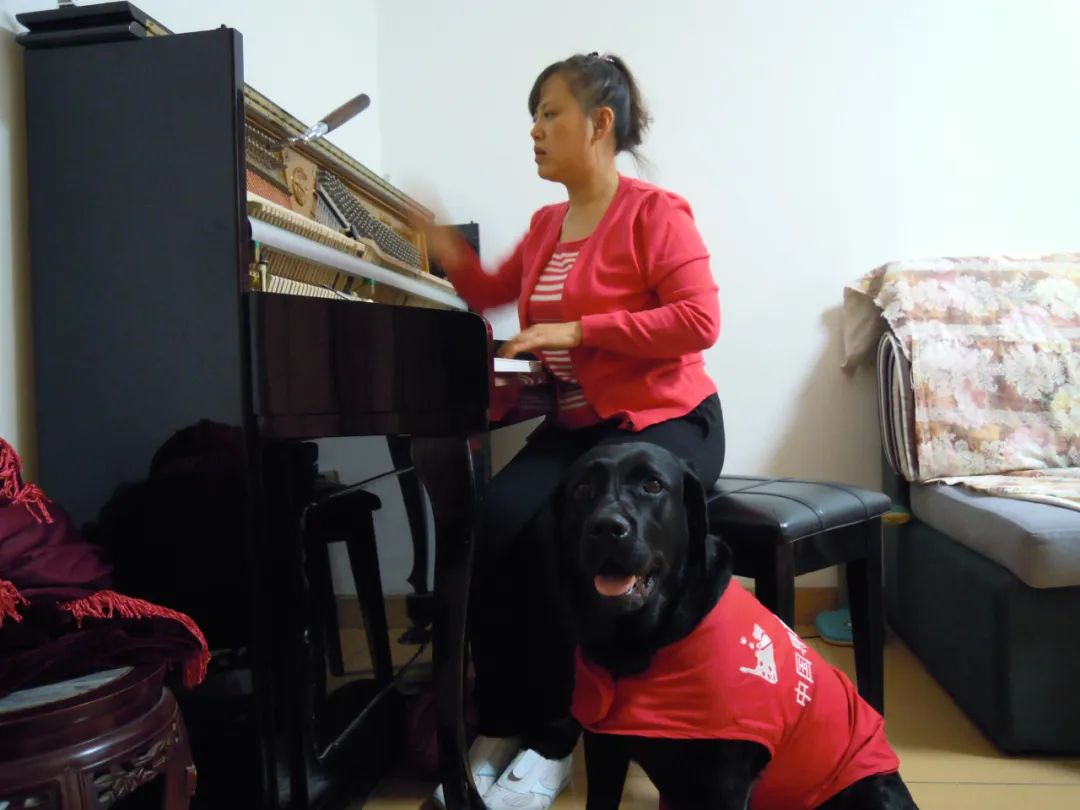 一位盲人钢琴调音师,想让导盲犬畅行无阻,获110万人支持